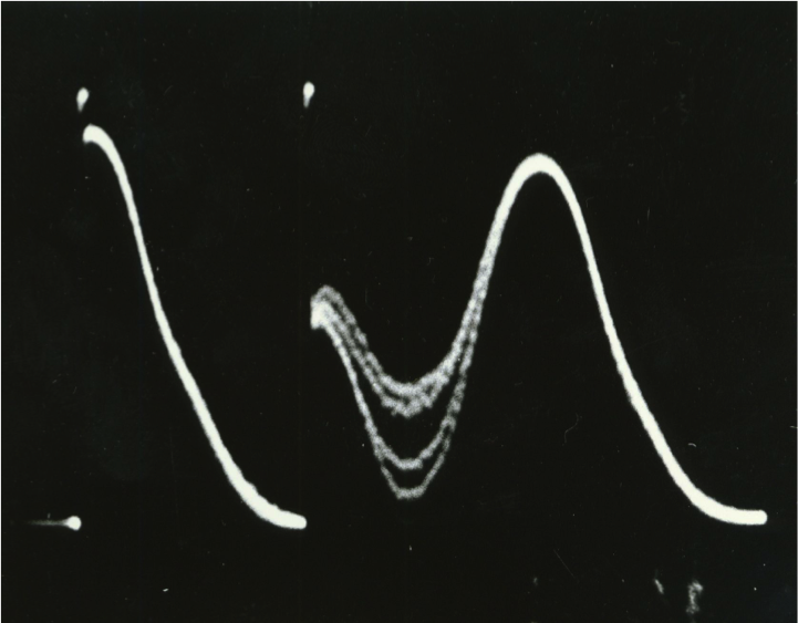 Aniversário do gênio transformador Erwin Hahn Aniversário do gênio transformador Erwin Hahn