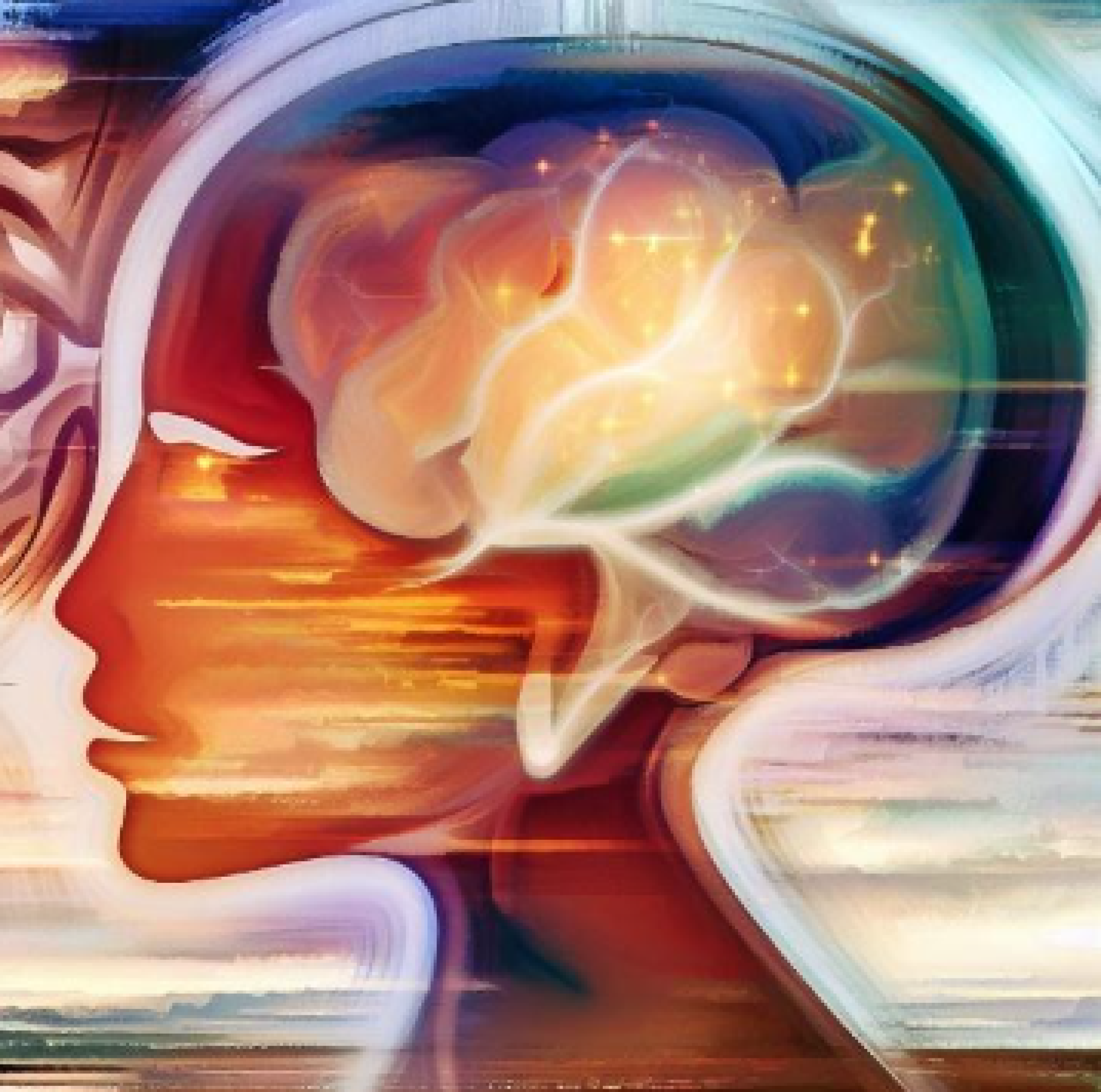 fMRI em estado de repouso: Uma vis&atilde;o geral